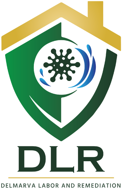 Delmarva Labor Color Site Logo