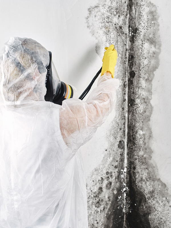 contractor with protection clothing and sprayer removing mold from wall newport de